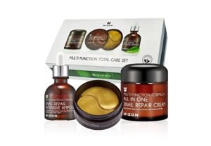 MIZON 24K Gold Snail Korean Skincare Hacks